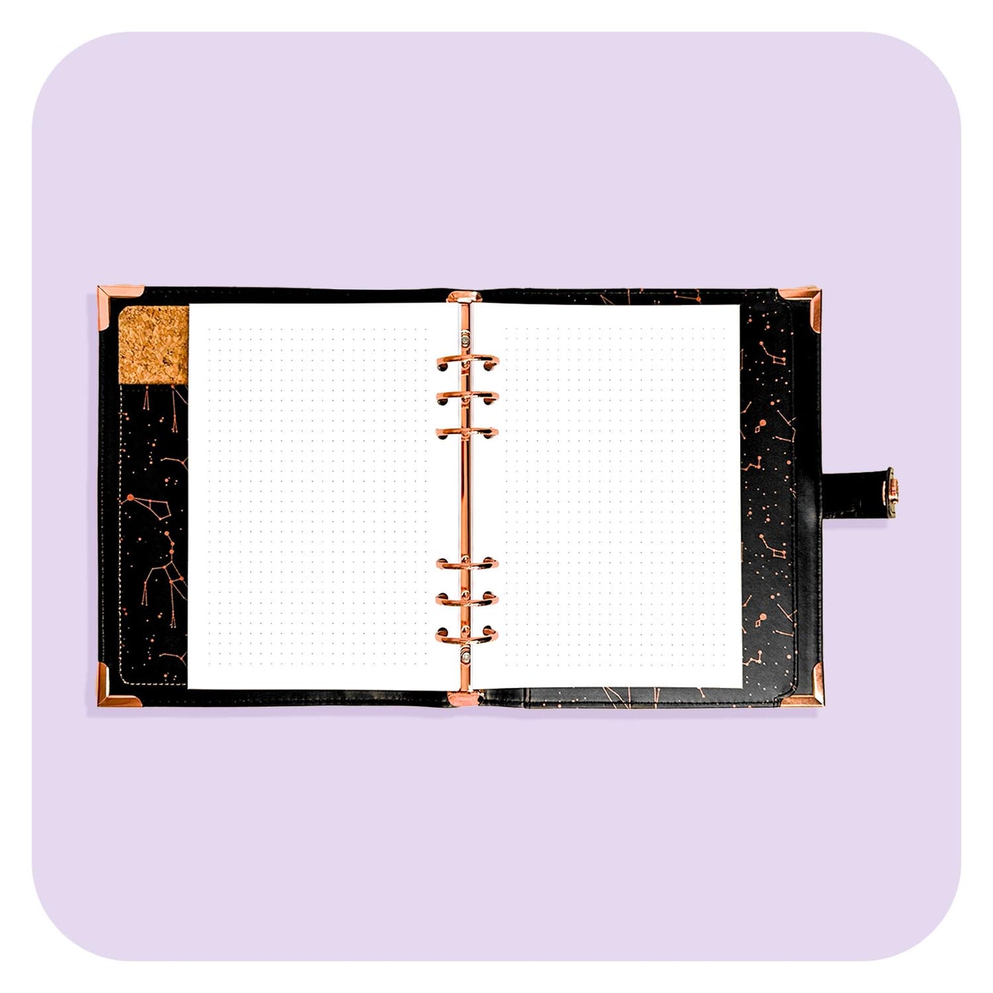 A5 Insert - Bujo Dotted