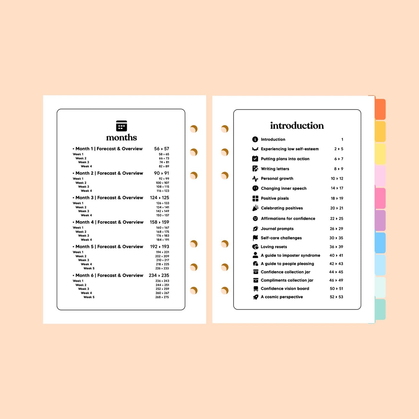 Confidence Life Planner A5 Insert