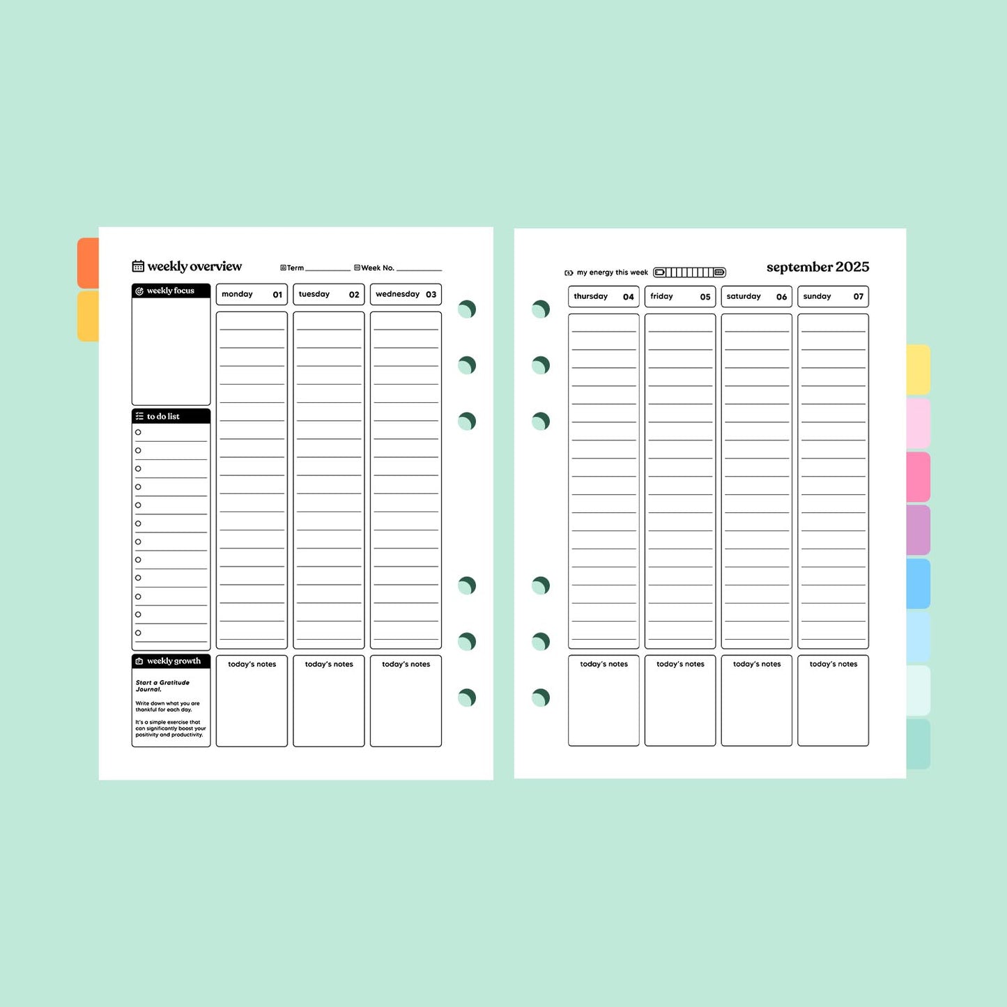 Academic Dated 2025 | 2026 A5 Planner Insert