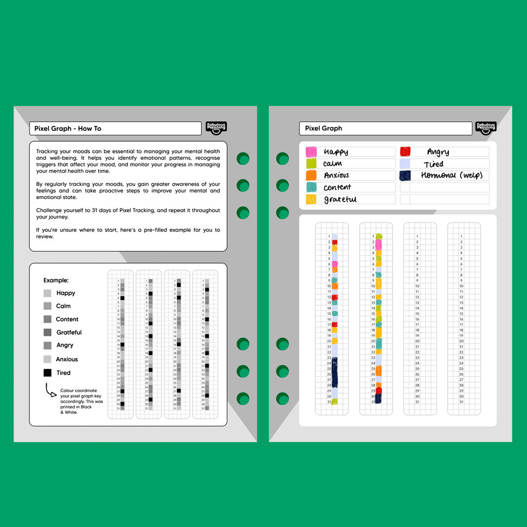 Calorie Food Diary - A6 Organiser Insert