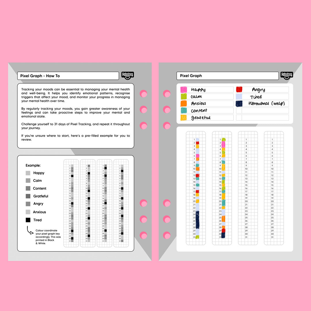 Food Diary SW Compatible- A6 Organiser Insert