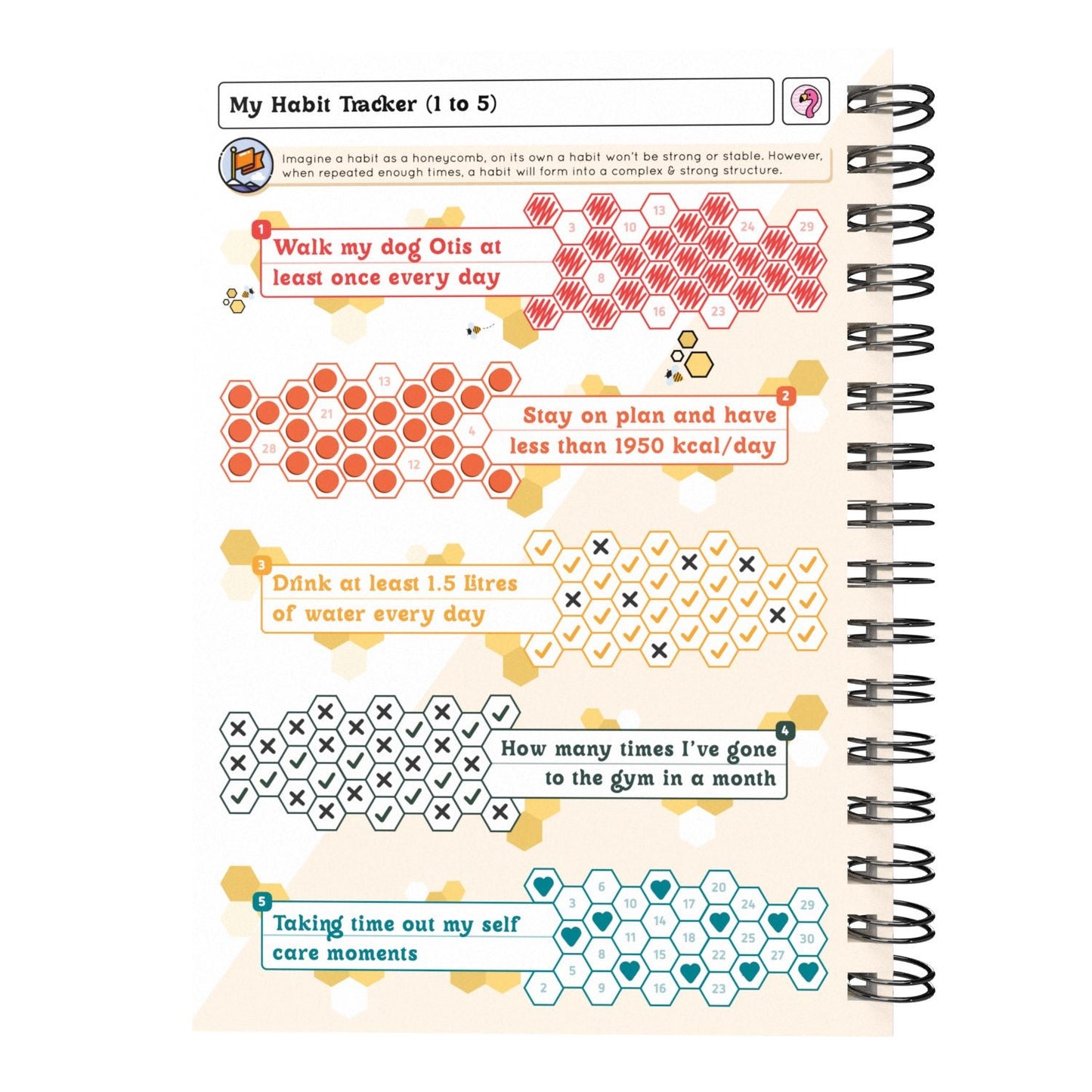 Food Diary - C11 - Calorie Counting - Fabulous Planning - [W] 3MTH - CAL - C11+