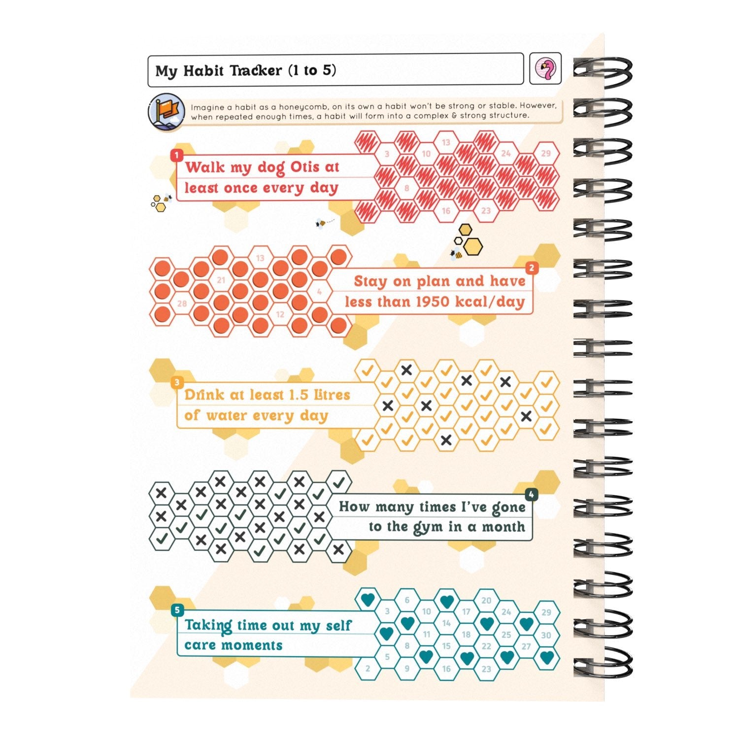 Food Diary - C11 - Calorie Counting - Fabulous Planning - [W] 3MTH - CAL - C11+