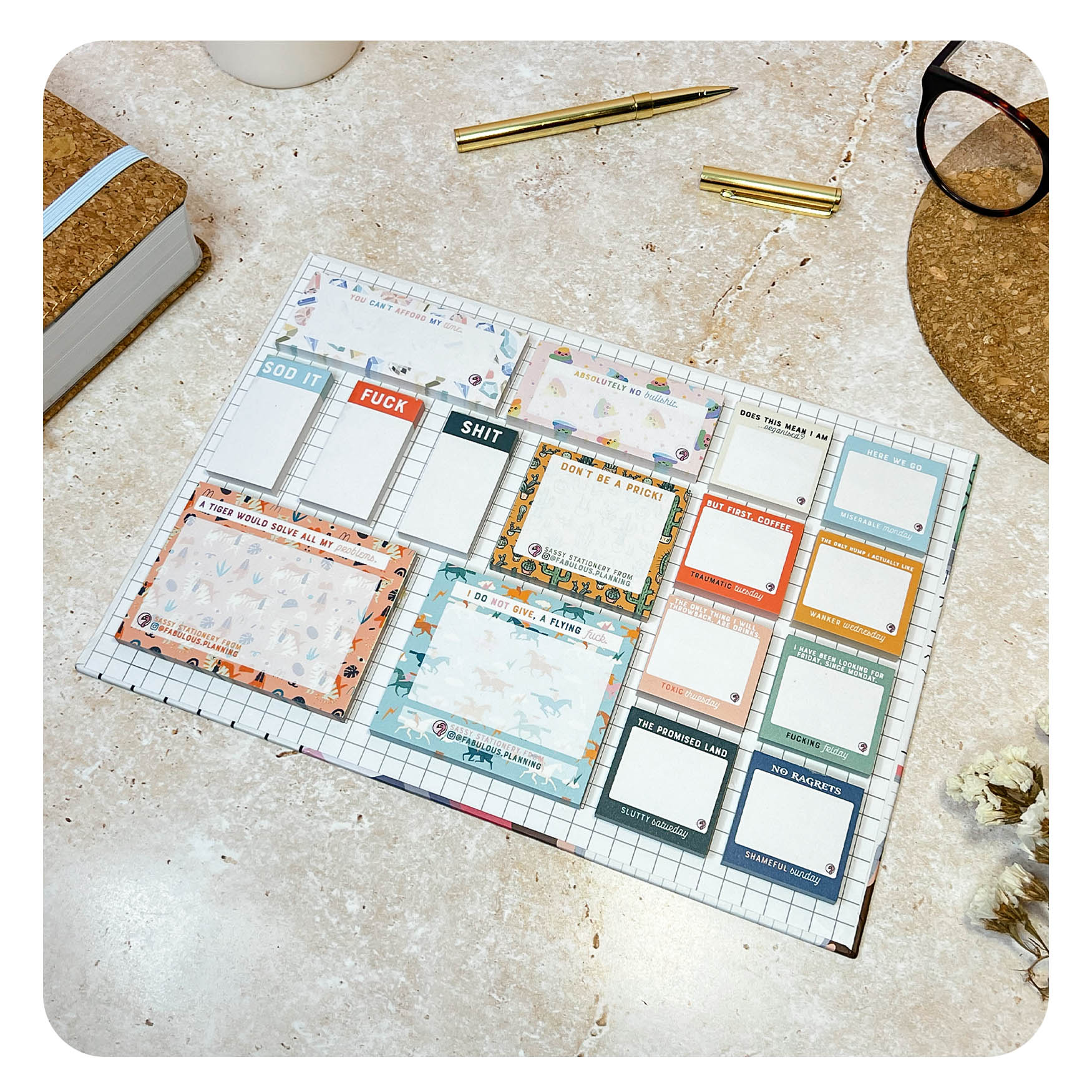 Sassy Notes Sassy Sticky Notes - Explicit Collection - Seconds – Fabulous Planning
