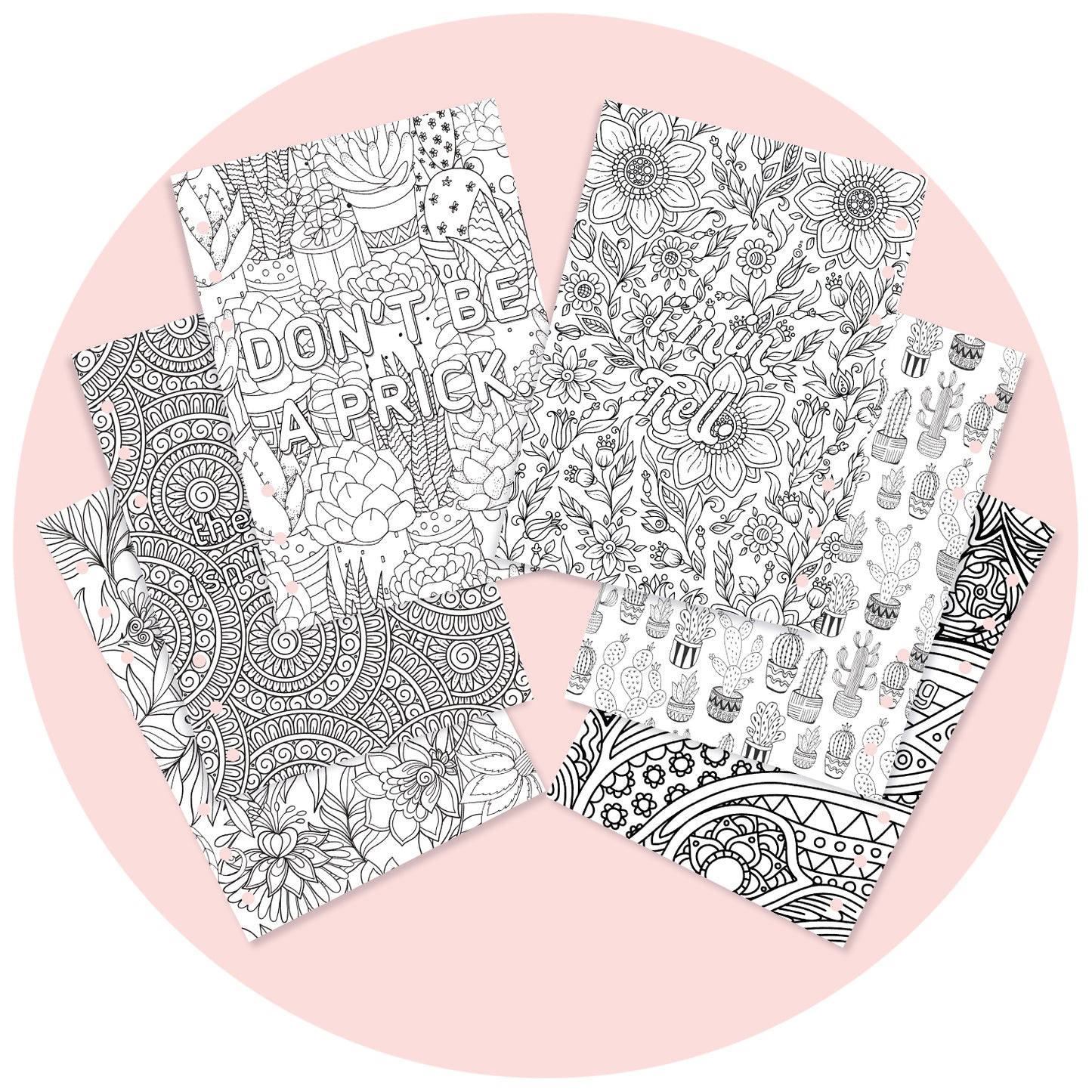 Inserts - Sassy & Explicit Colouring Pack